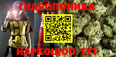 дурь Аргун