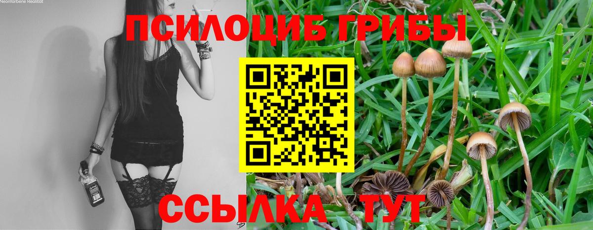 Галлюциногенные грибы мицелий Балахна